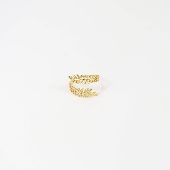 Anne - A Unique & Stylish Choice