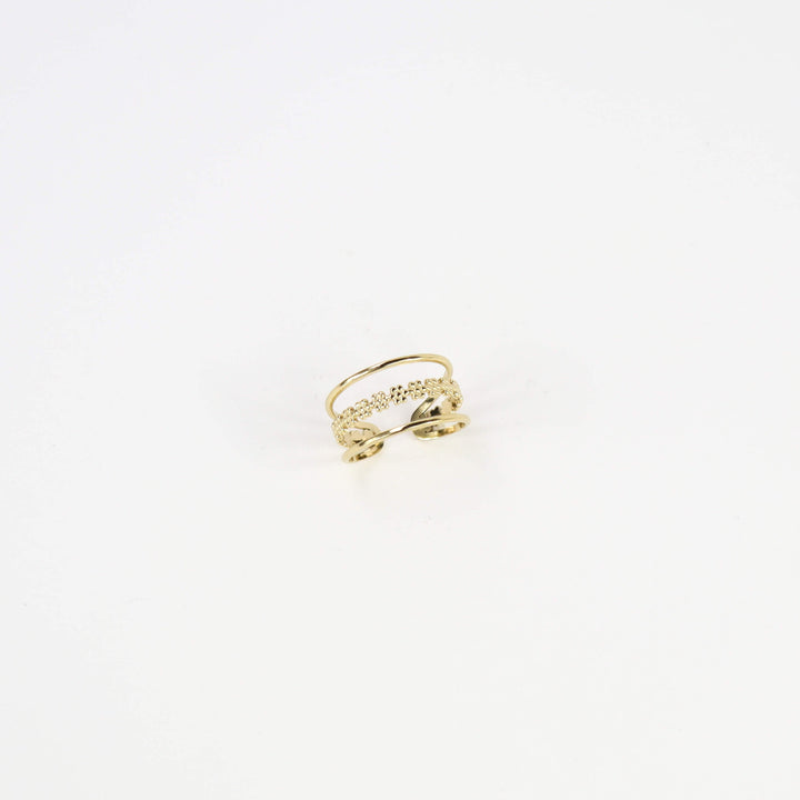 Alma - Your Ultimate Companion